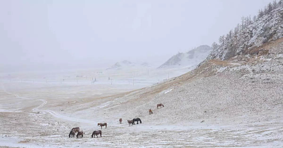   Қар жауып, тұман басады: 23 наурызға арналған ауа райы болжамы   