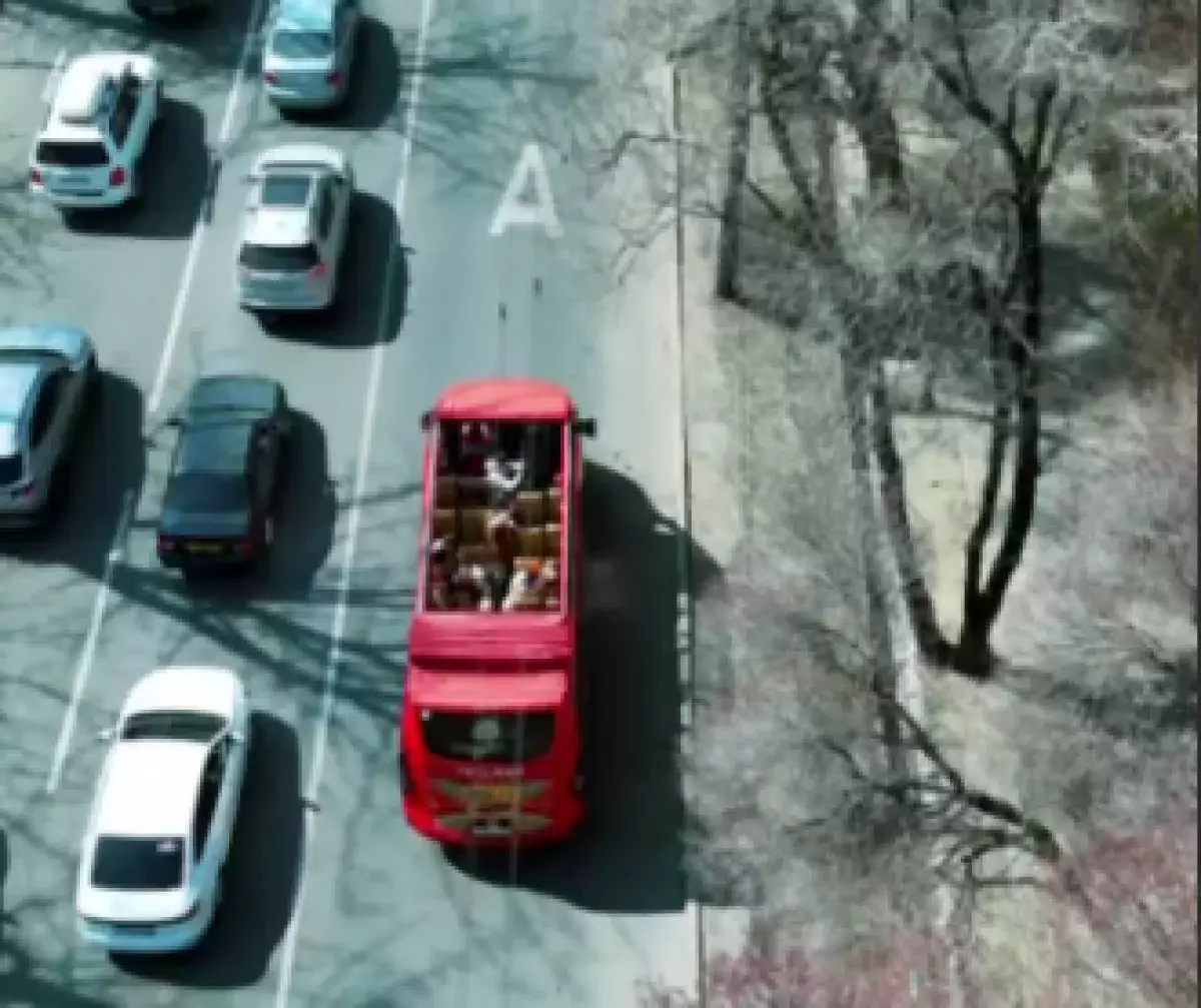 Необычный автобус без крыши проехал по Алматы