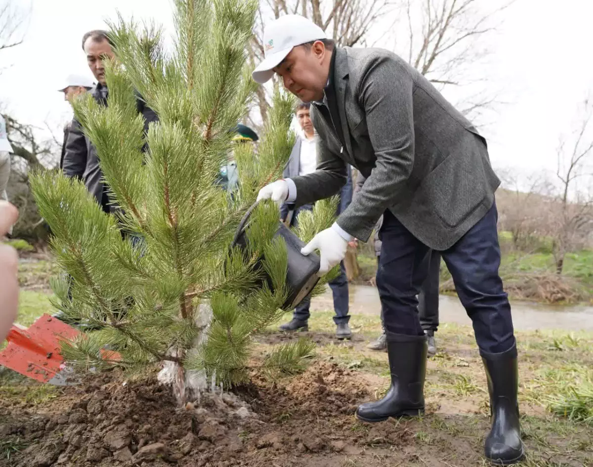 QR-код, цифрландыру және 1 млн ағаш: Түркістан облысында бұлақтарды сақтау үшін тың әдіс қолға алынды