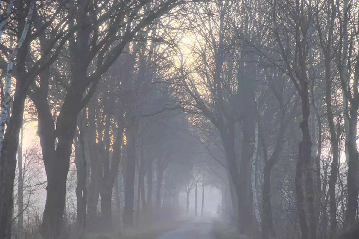 Неустойчивая погода ожидается в Казахстане с 24 по 26 марта