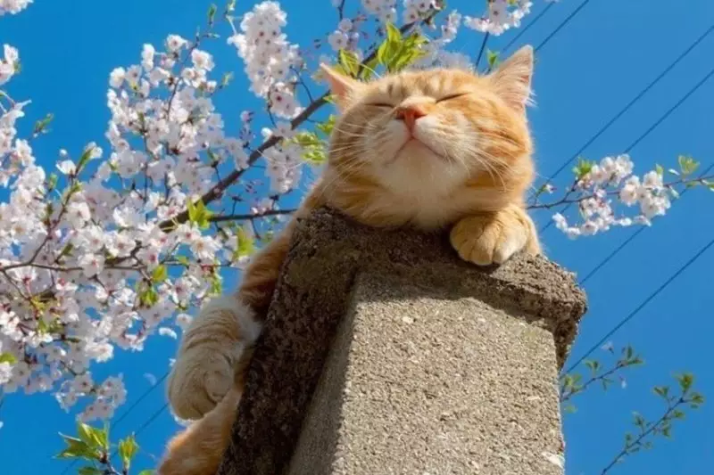 В Казахстане резко потеплеет, но погода преподнесёт сюрпризы