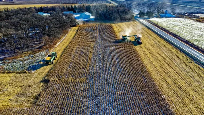 Граждане Узбекистана получат возможность работать на фермах США