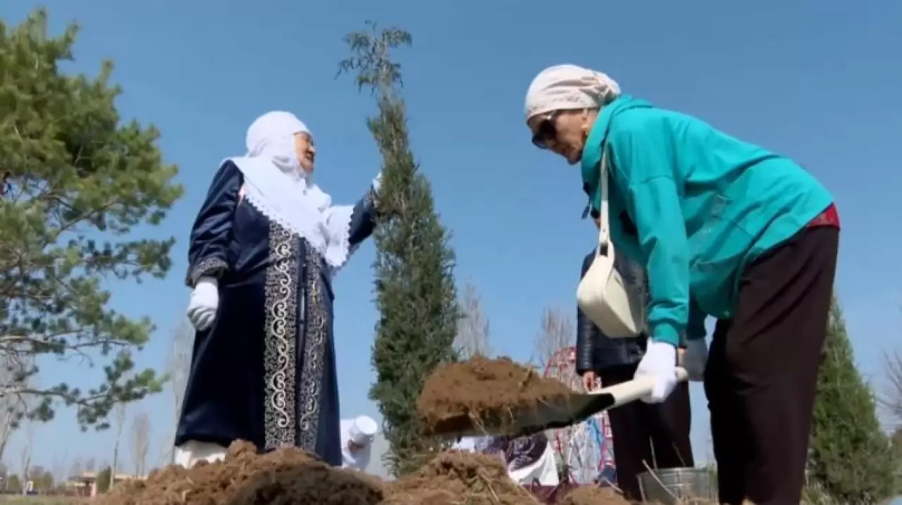 Миллион деревьев высадят в Туркестанской области
