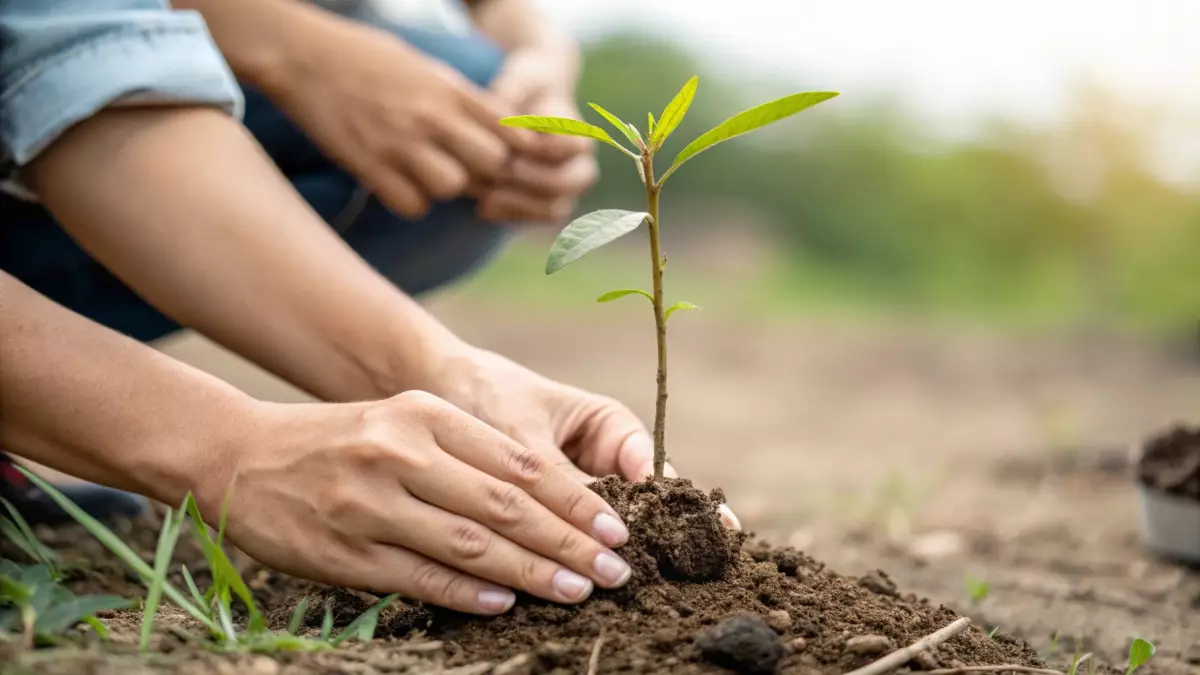 Наурызнама: молодёжь Алматы провела концерт и флешмоб в честь «Тазару күні»