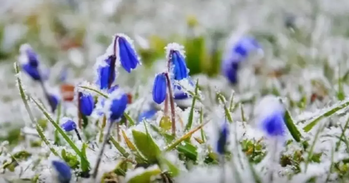  Синоптиктер ертең ауа райы қандай болатынын ескертті 