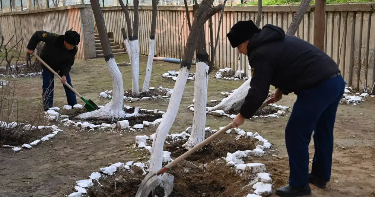  Тазару күні әскерилер гарнизондарда экологиялық бастамалар өткізді 