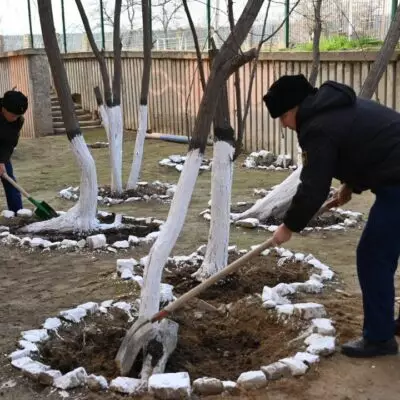 В День очищения военнослужащие провели в гарнизонах экологические акции