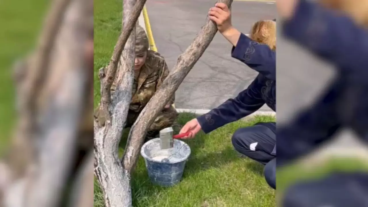 Военнослужащие провели экологические акции в гарнизонах