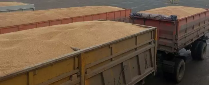 Более 21 тысячи тонн зерна отправили из Тюменской области в Казахстан.