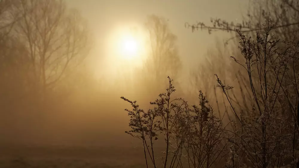 Штормовые предупреждения объявили в Астане, Алматы, Шымкенте и областях