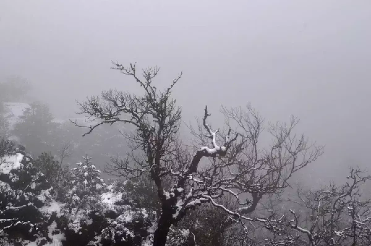 Какая погода ждет казахстанцев 24 марта