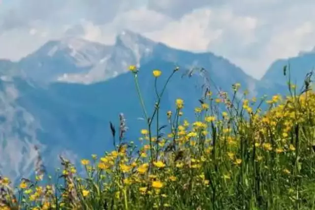 Оңтүстікте ауа райы +28 градусқа дейін жылынады