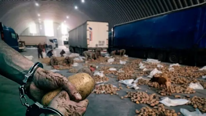 В Узбекистан пытались ввезти партию афганского гашиша под видом картофеля