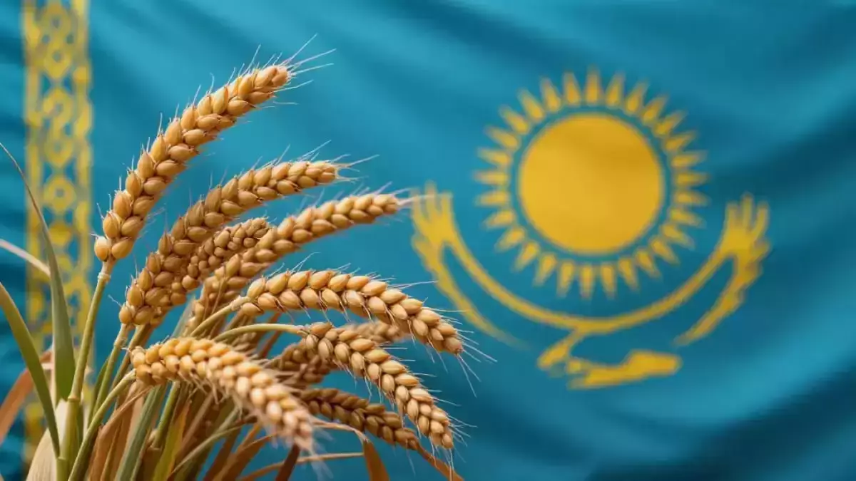 Қазақстан Ресейден астық пен жем-шөп импорттауға тыйым салды