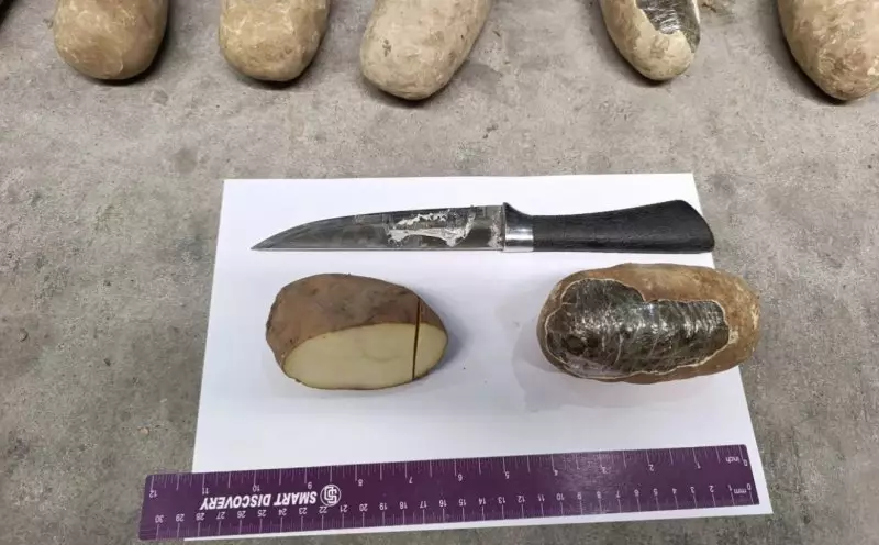 Узбекистанец пытался провезти 72 кг наркотиков под видом картофеля