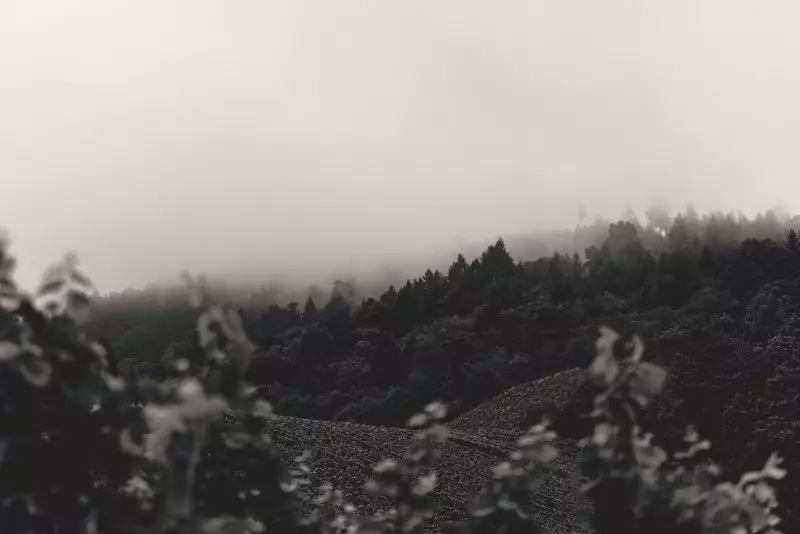 Пыльные бури, туман и сильный ветер ожидаются в Казахстане