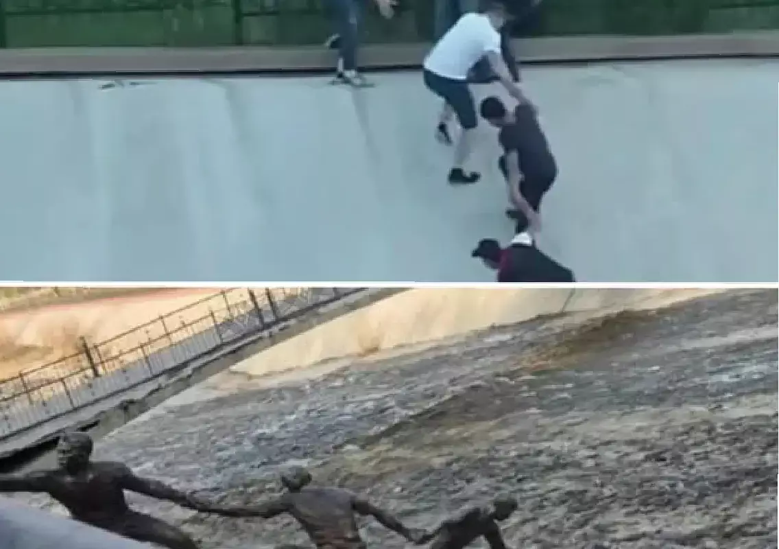 Спасение собаки стало символом человечности в Казахстане.