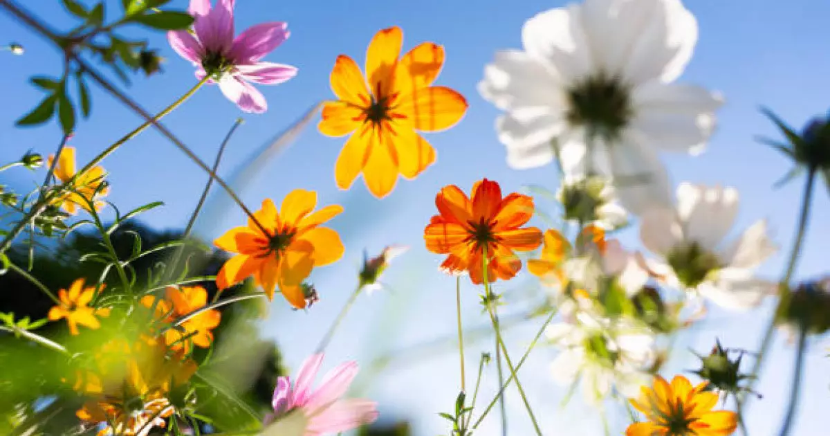  Қазгидромет еліміздің басым бөлігінде күн жауын-шашынсыз болатынын хабарлады 