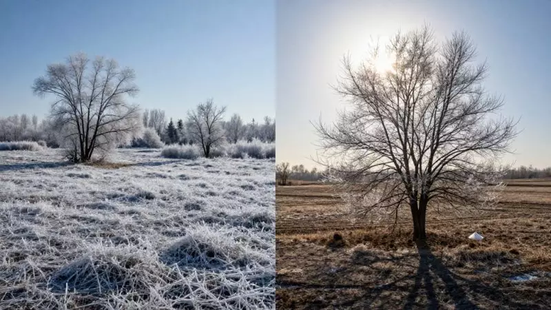 От 8 мороза до 27 тепла: прогноз погоды в Казахстане на 25 марта