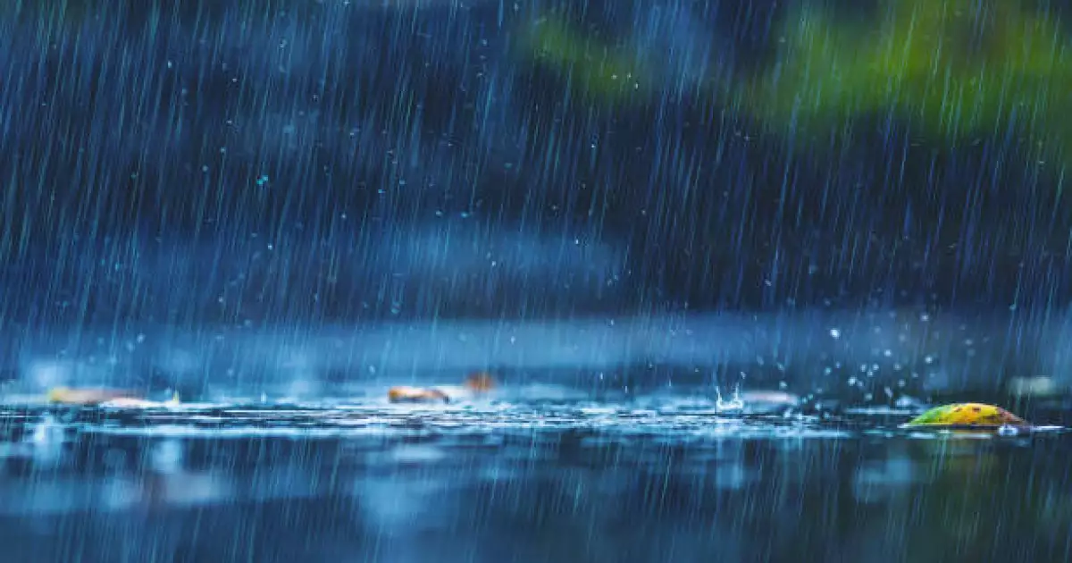   "Жауын жауып, қатты жел соғады": 25 наурызға ауа райы болжамы   