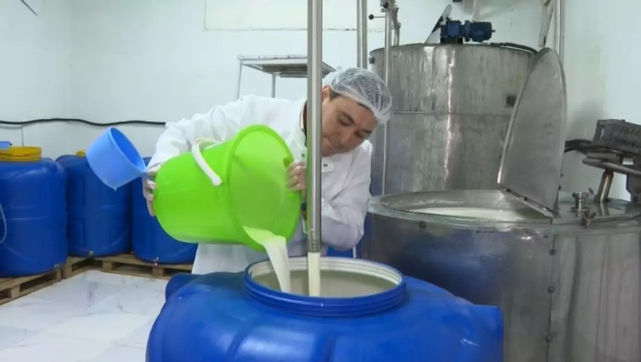 Современную версию кумыса начали выпускать в Талдыкоргане