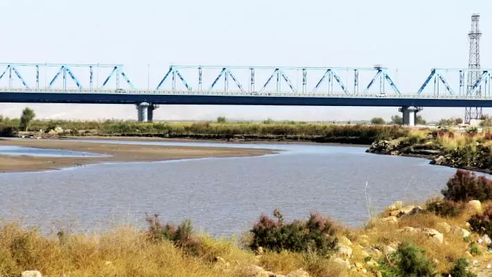 Власти Сурхандарьи объяснили причину пожаров на границе с Афганистаном