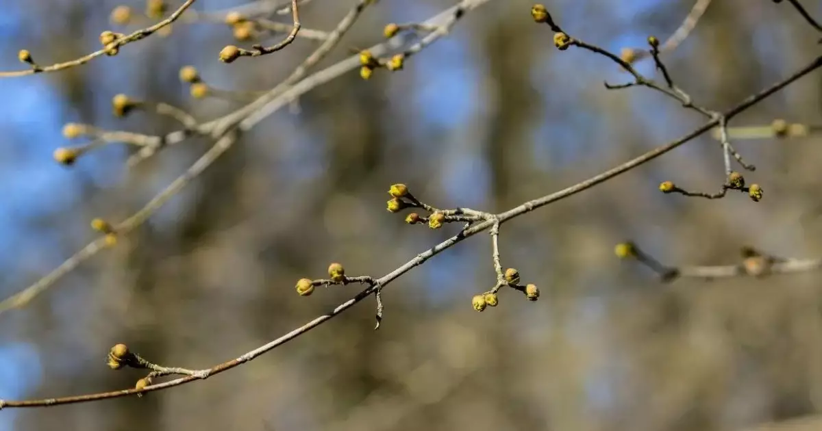  Қазақстанда алдағы үш күнде ауа температурасы 30 градусқа дейін көтеріледі 