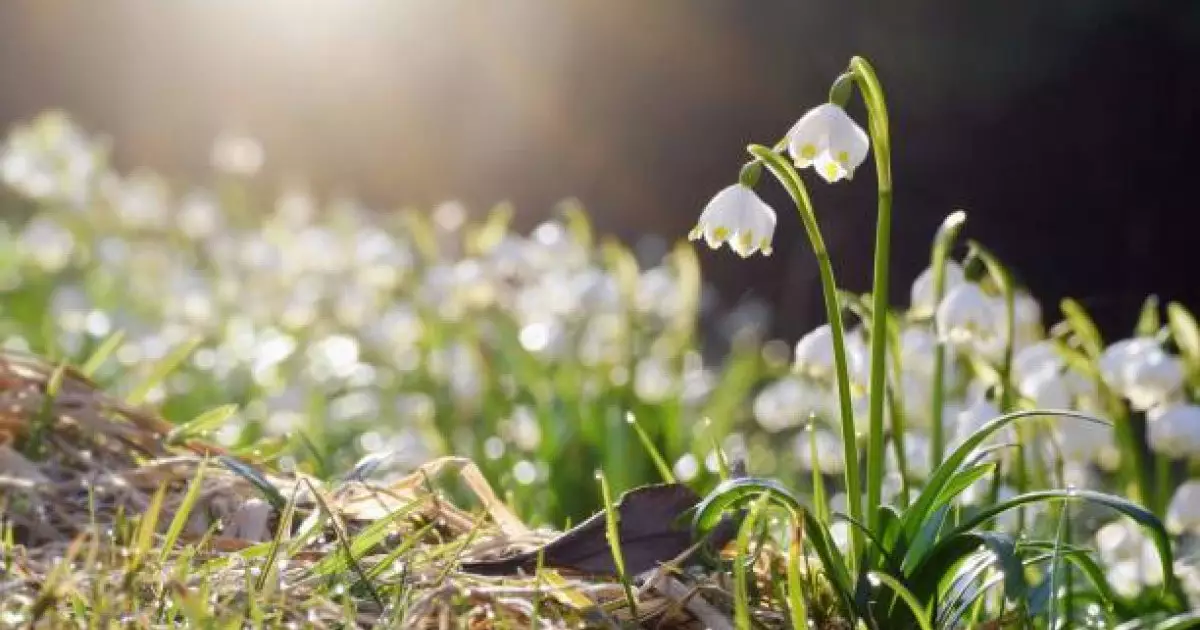  26 наурыз күні ауа райы қандай болады? 