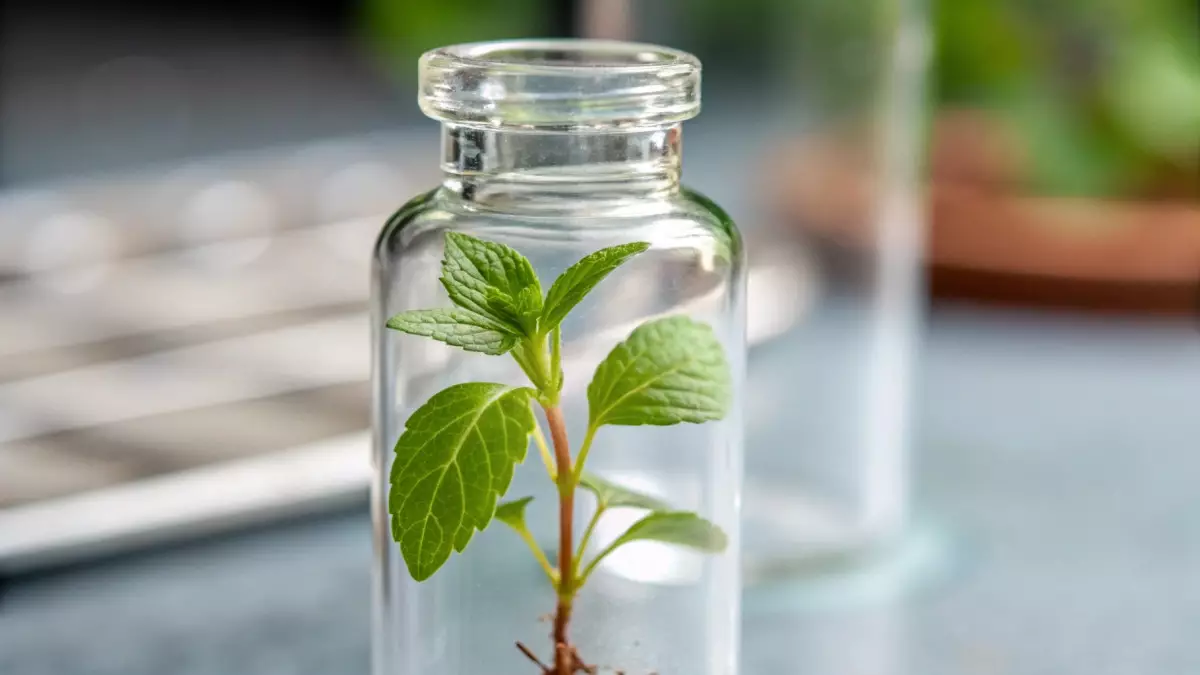 Школьники Акмолинской области представили экологические проекты будущего