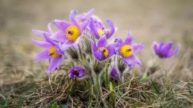 +30: Қазақстанда күн күрт жылынады