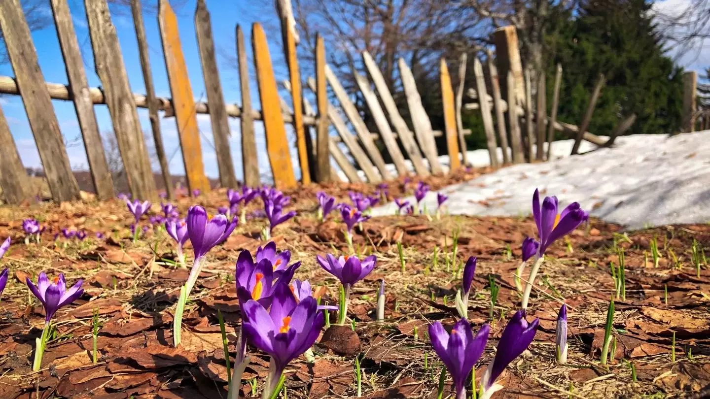 +30: Қазақстанда қай өңірлерде күн күрт жылынады? 