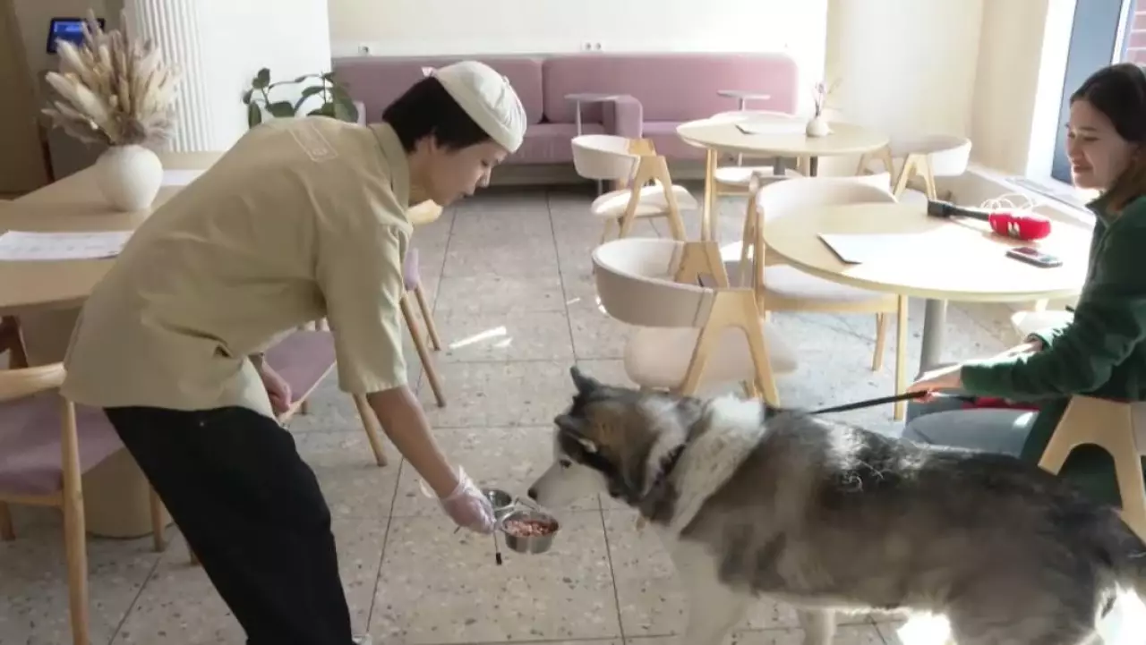 Кафе формата Pet-Friendly открываются в Астане