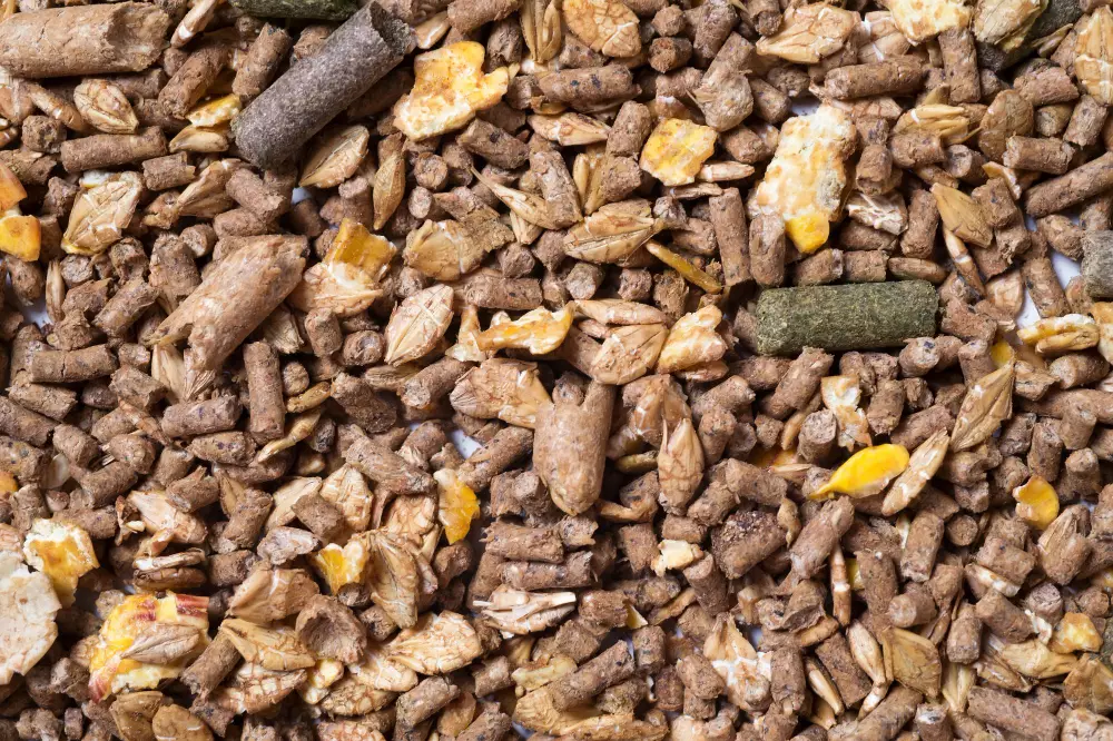 Казахстан ввел временный запрет на импорт кормов из России из-за ветеринарных рисков.