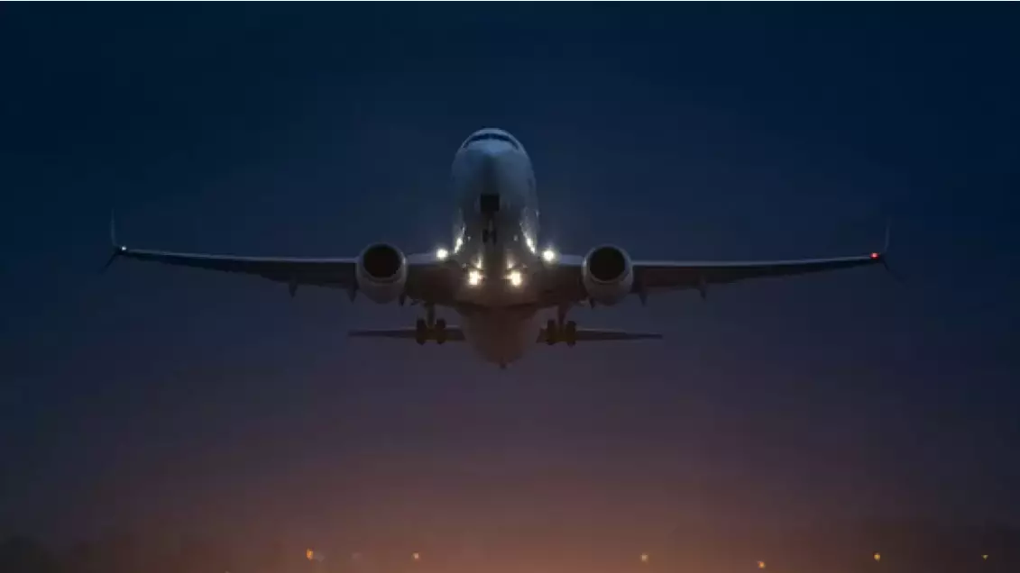 АҚШ-та ұшақ койотпен соқтығысты