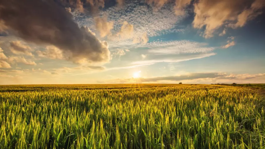 Қазақстанда 30 градусқа дейін күн жылынады