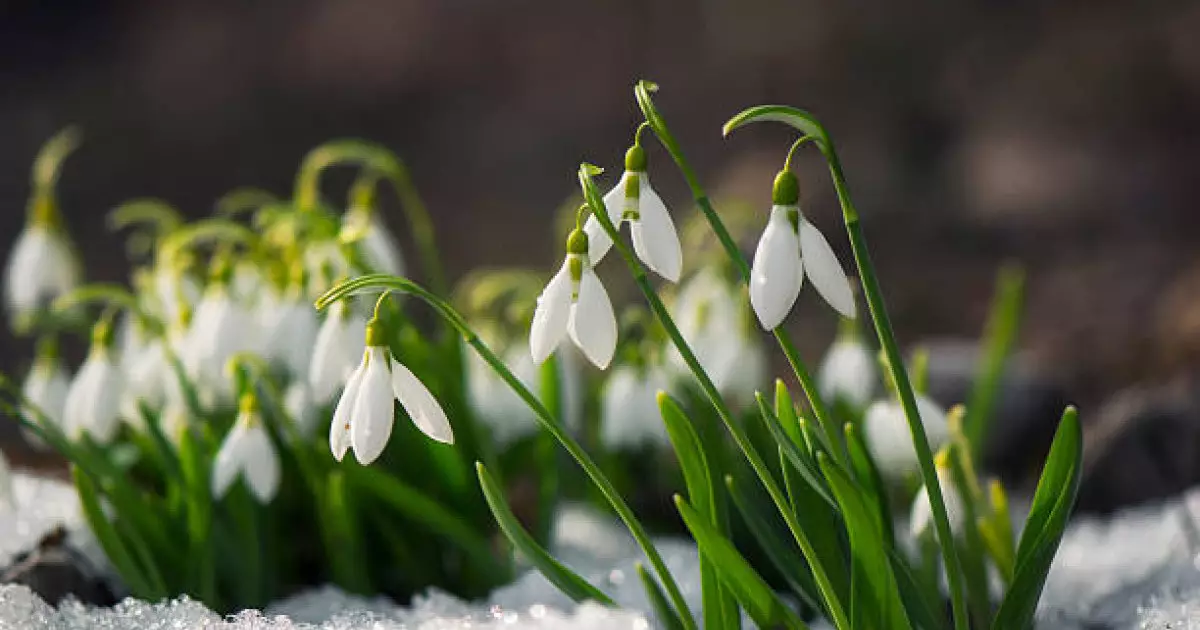  Күн +30 градусқа дейін жылиды 