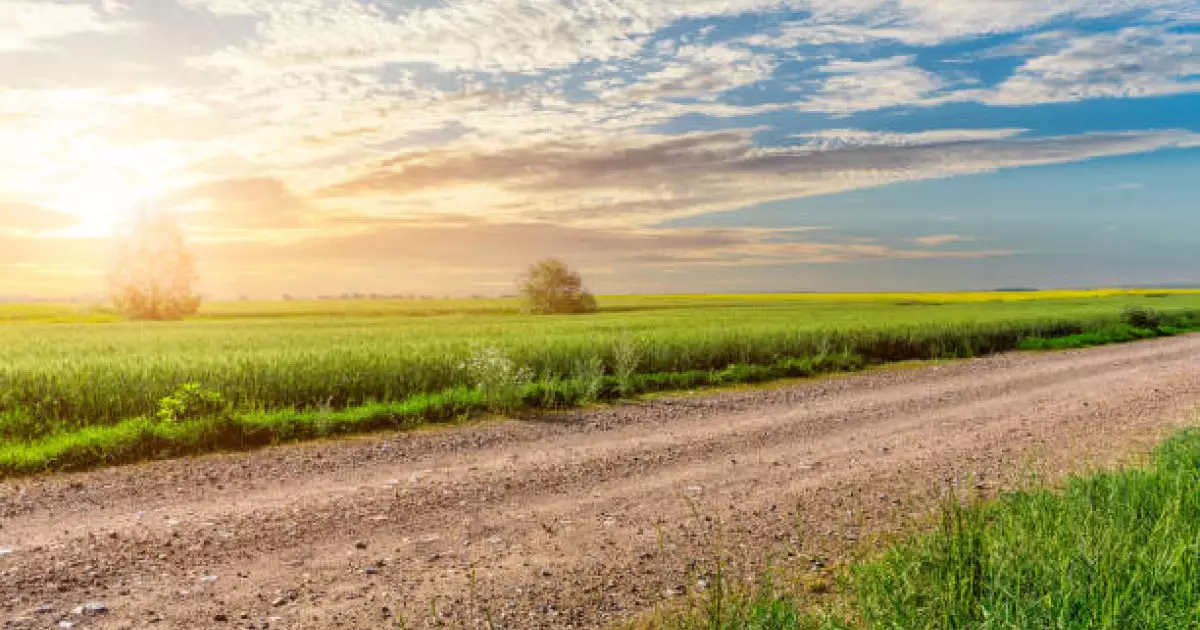  Құны – 52 млн: Степногорскте 1500 гектар жер мемлекет меншігіне қайтарылды 