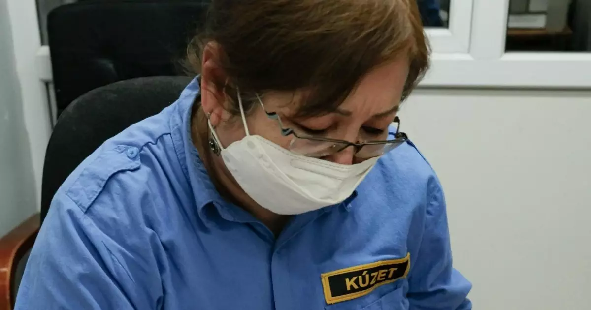  Жұмыс іздеу хикаялары: кәсіпқойлардың тәжірибесі 