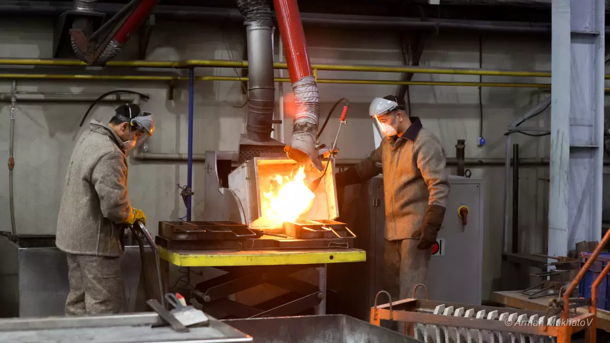 Сарапшы: Конституциялық реформа – жаңа өндірістерге жол ашады