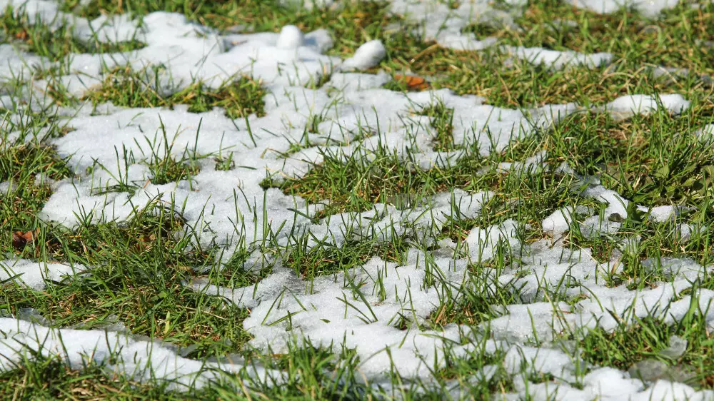 До +24 и гололедица - какой будет погода 27, 28, 29 марта в Астане и Алматы