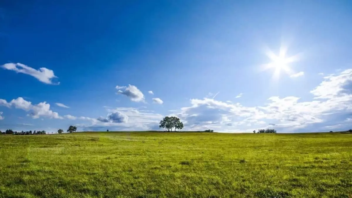 Степногорскіде әкім орынбасары 52 млн теңгенің жерін заңсыз бергені үшін жазаланды