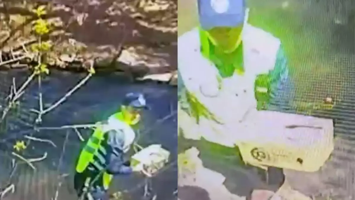 В сеть попало видео спасения котят из ледяной воды в Шымкенте