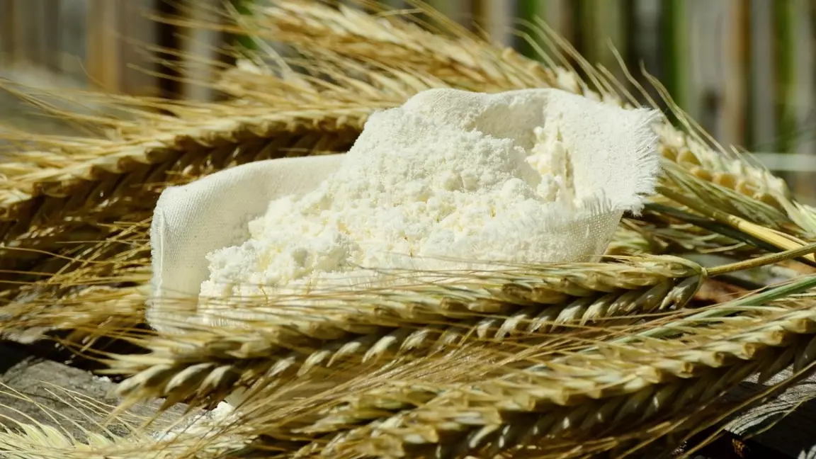 Даланың дәмі Нью-Йоркке жетті: Қазақстан ұны жаңа нарықта