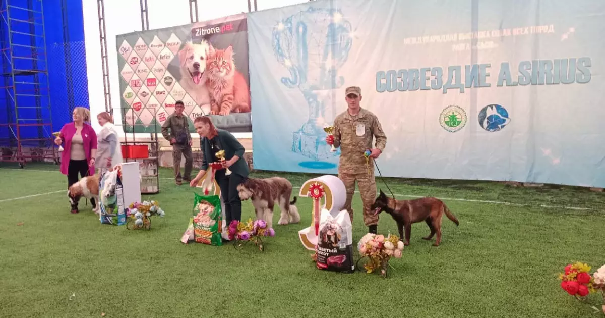  Ұлттық ұланның қызметтік иттері «A.SIRIUS 2026» көрмесінде үздік нәтиже көрсетті 