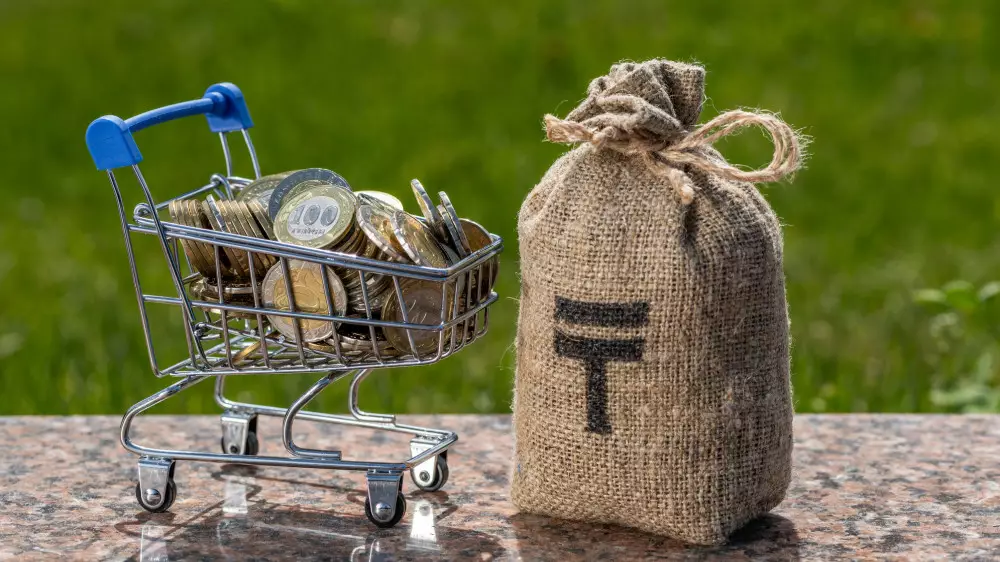 Барлық жинақты беру – қазақстандықтарға таңдау жасау ұсынылмақ