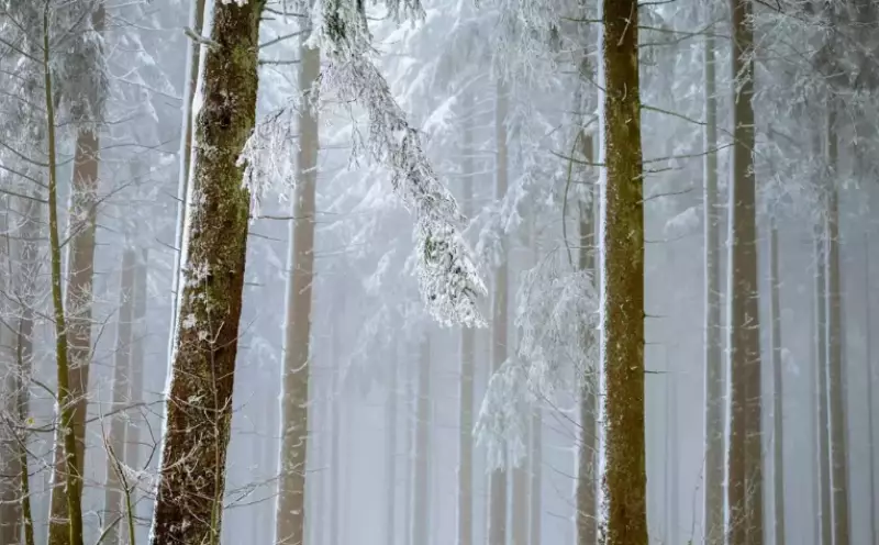В каких регионах Казахстана объявили штормовое предупреждение