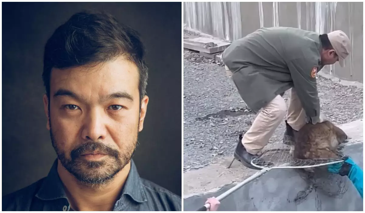 Алматыда танымал актер өзенге құлап кеткен итті құтқарып қалды (видео)