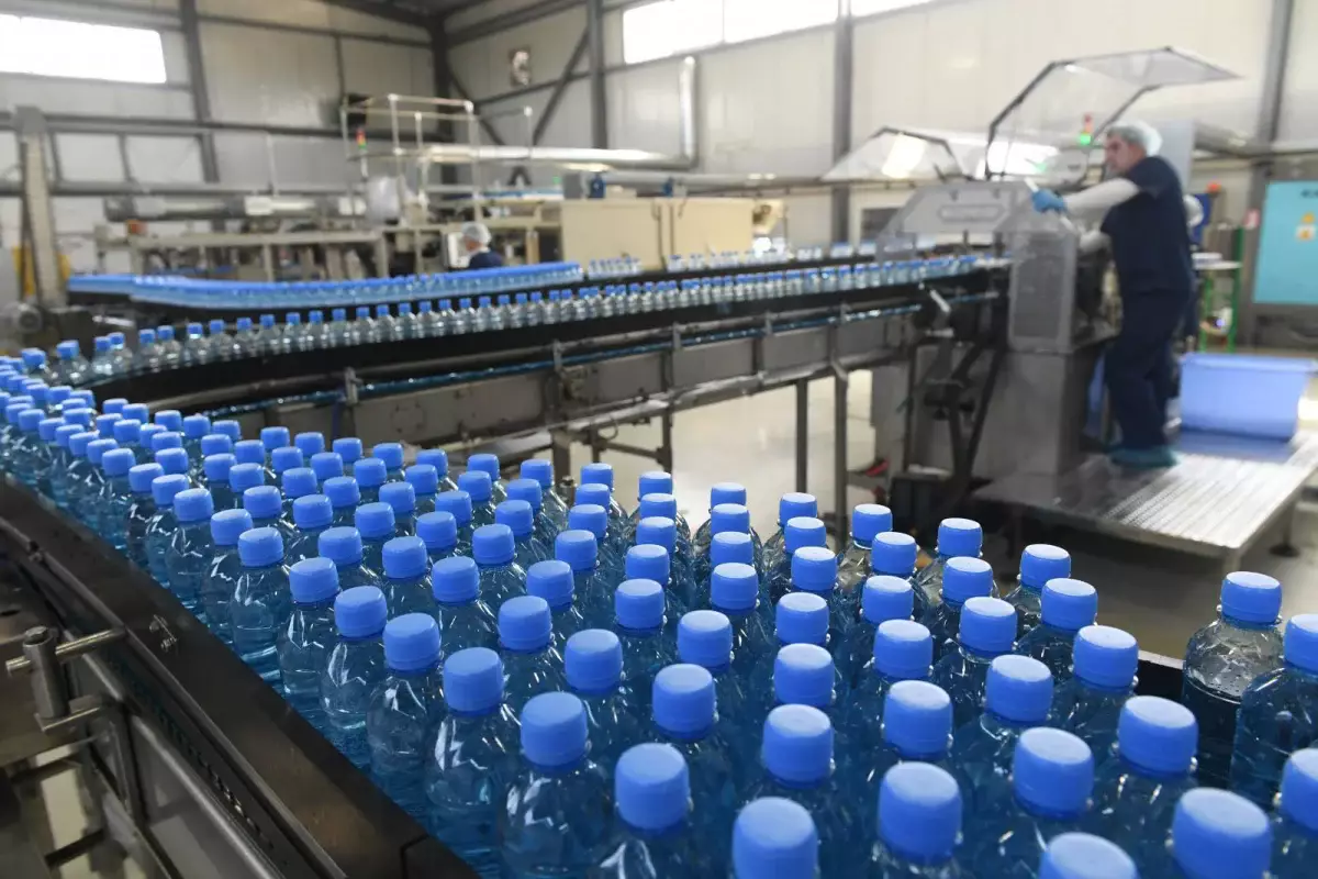 Алматыда әлеуметтік бизнесті қолдау кеңейіп келеді