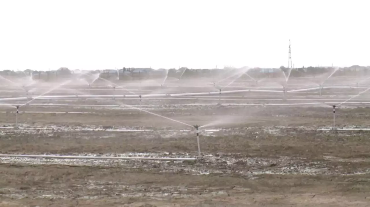 Кызылординская область сокращает потребление воды из Сырдарьи