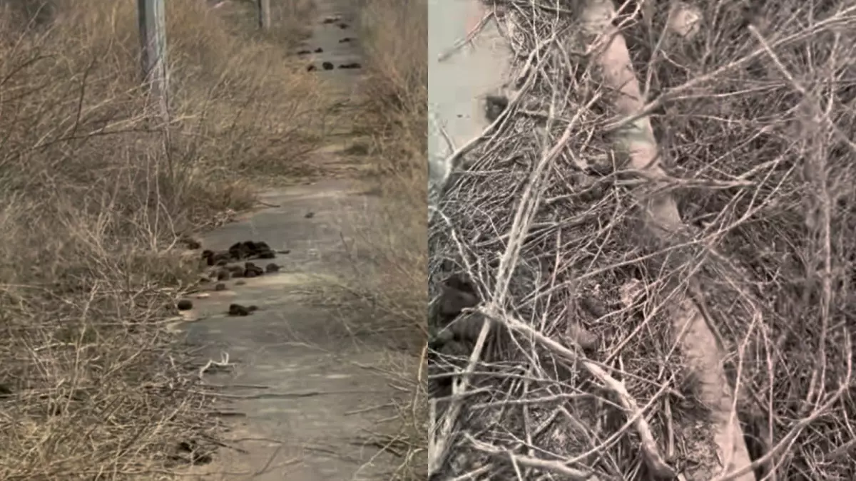 "Куда ушли деньги?": жители Атырау пожаловались на состояние тротуаров и дворов